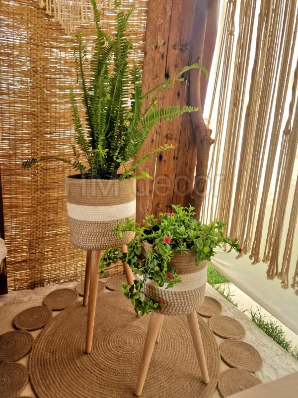 Plant pot with wooden stand shape7