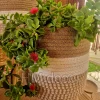 Plant pot with wooden stand shape7