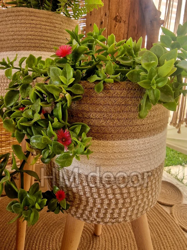 Plant pot with wooden stand shape7