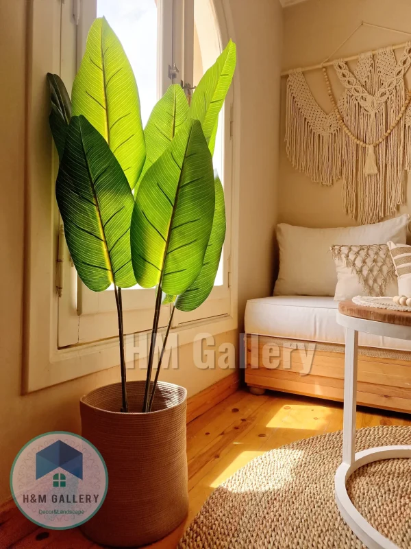 BASKET 603 Basket shape8