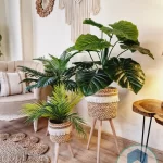 Halfa Plant pot with wooden stand shape1