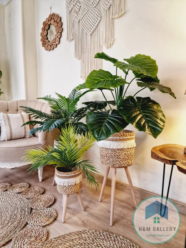 Halfa Plant pot with wooden stand shape1