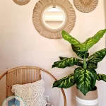 Matching Collection 8