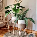 Plant pot with wooden stand shape1