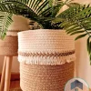 Plant pot with wooden stand shape1