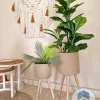 pot 10021 Plant pot with wooden stand shape8