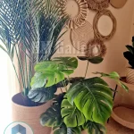 Plant pot with wooden stand shape8