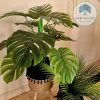 Plant pot with wooden stand shape6
