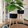 pot 10056 Plant pot with wooden stand shape5