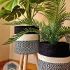 Plant pot with wooden stand shape3