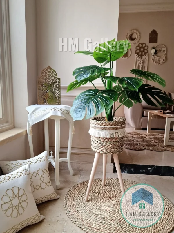 Halfa Plant pot with wooden stand shape1