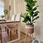 Halfa Plant pot with wooden stand shape1