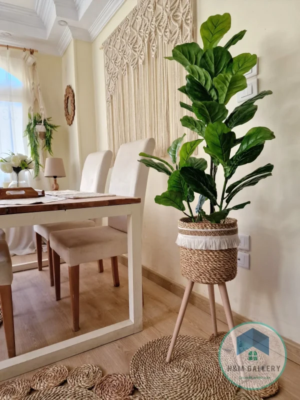 Halfa Plant pot with wooden stand shape1