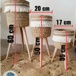 Halfa Plant pot with wooden stand shape1