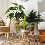 Halfa Plant pot with wooden stand shape1