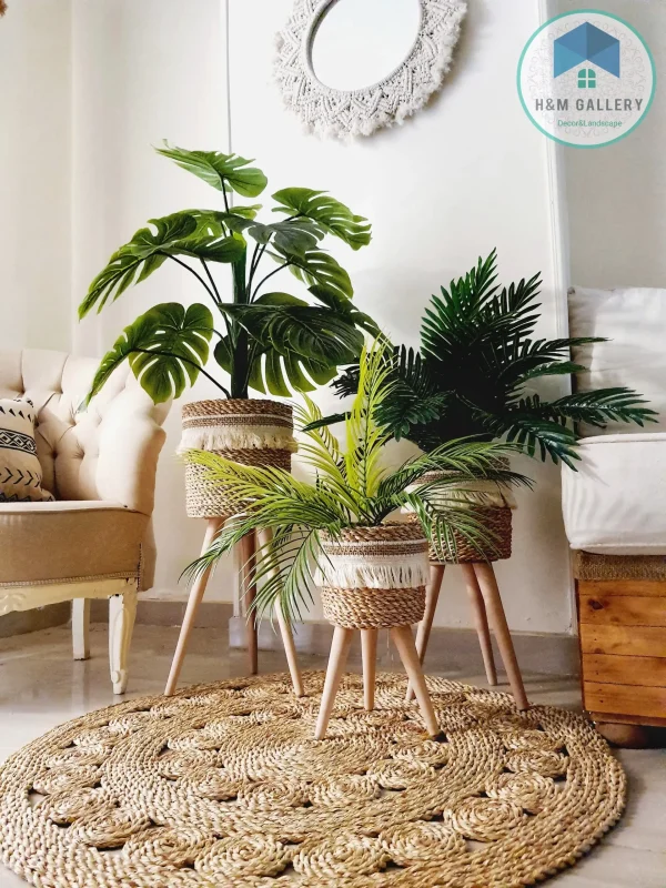 Halfa Plant pot with wooden stand shape1