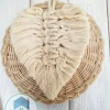bambo&cotton feather wall decorations shape9 set