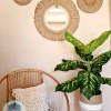 wall decor 80 jute & cotton wall decor shape14