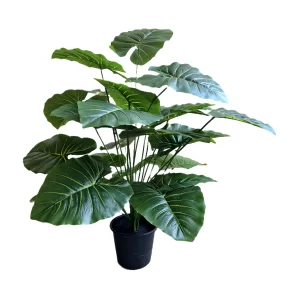 Artificial plants shape2