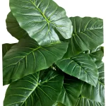 Artificial plants shape2