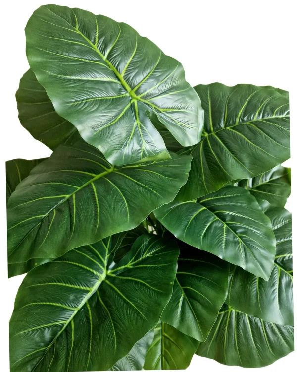 Artificial plants shape2