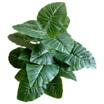 Artificial plants shape2