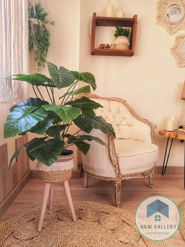 Artificial plants shape2