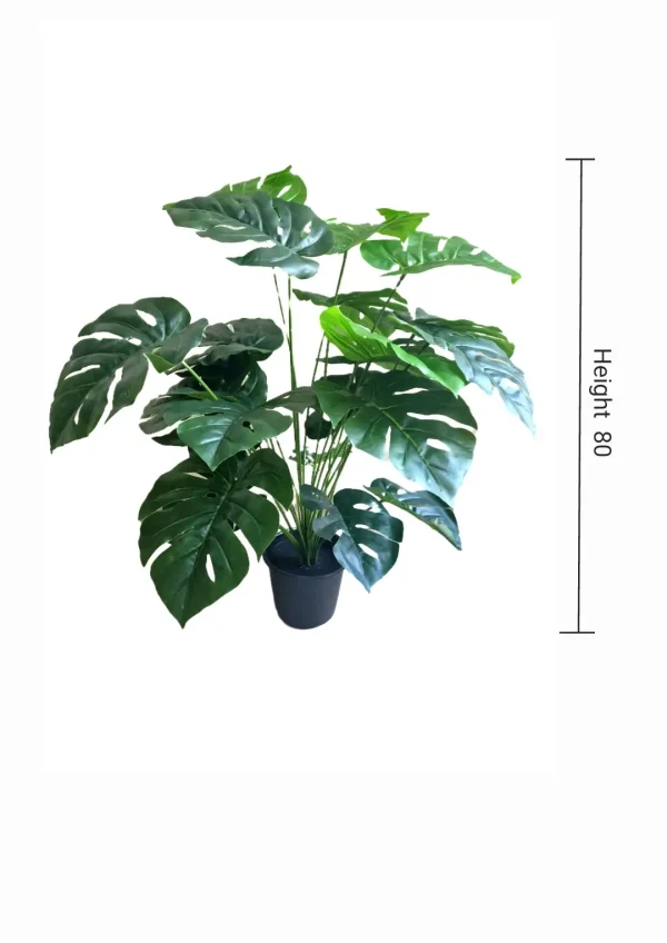 Artificial plants shape1