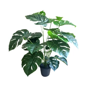 Artificial plants shape1