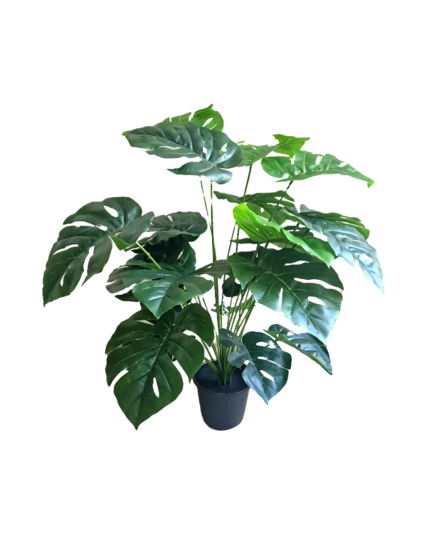 Artificial plants shape1