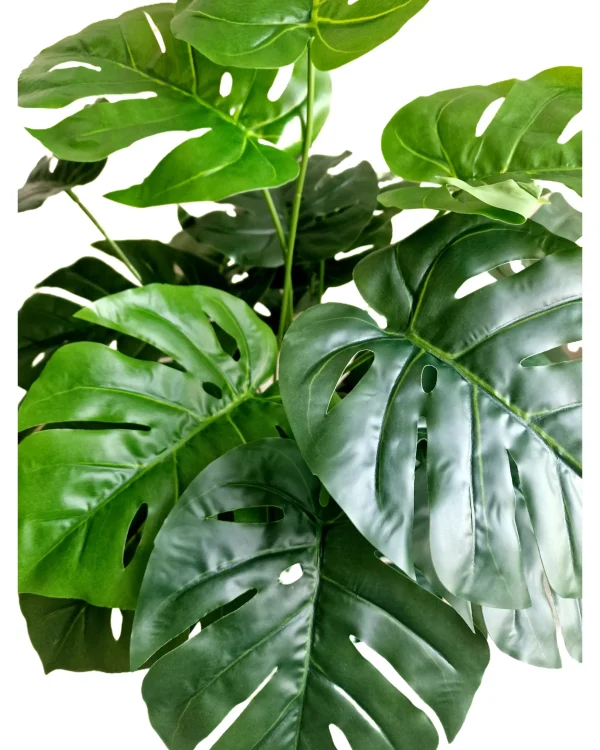 Artificial plants shape1