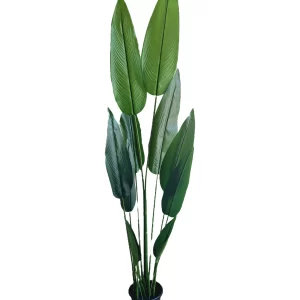 Artificial plants shape11