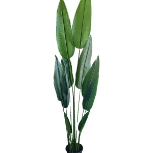 Artificial plants shape11