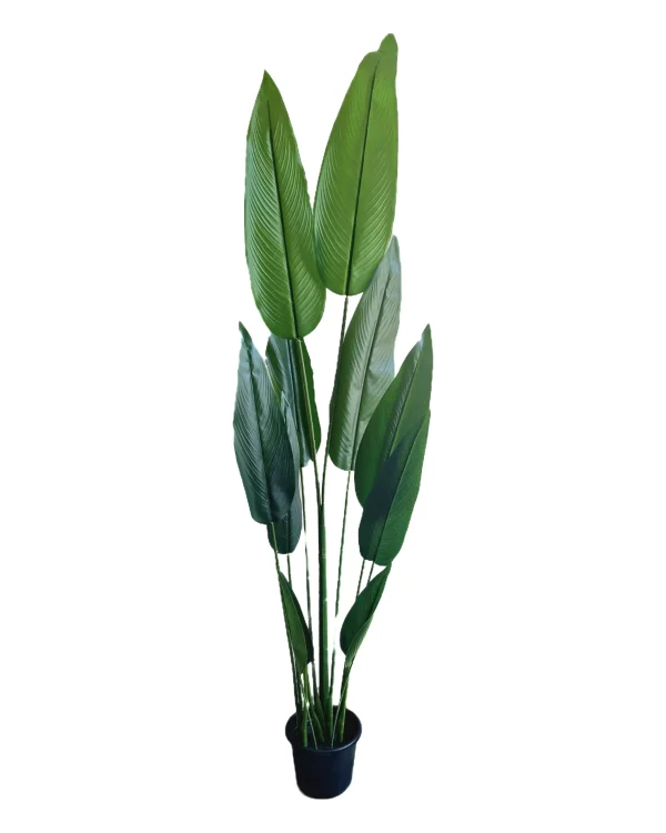 Artificial plants shape11