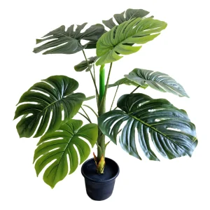 Artificial plants shape6