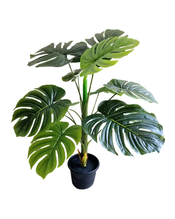 Artificial plants shape6