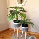 Artificial plants shape6