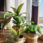 Artificial plants shape12