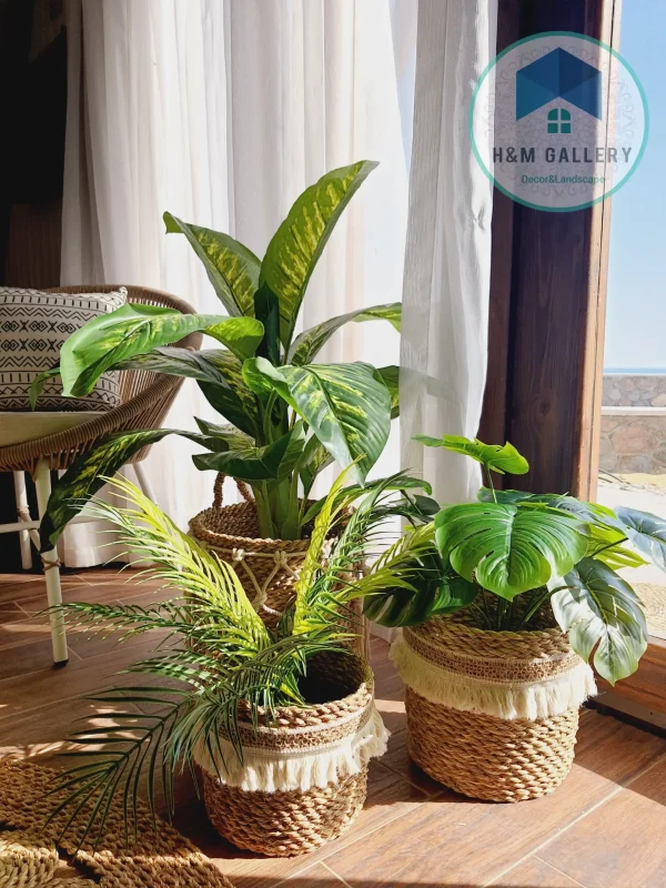 Artificial plants shape12