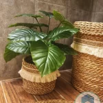 Artificial plants shape3