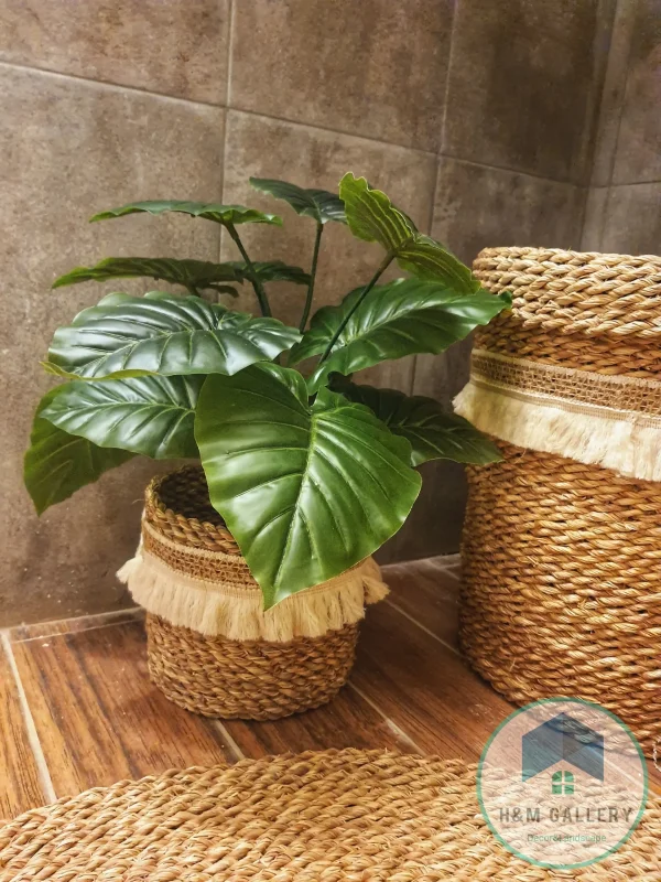 Artificial plants shape3