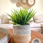 Matching Collection 1