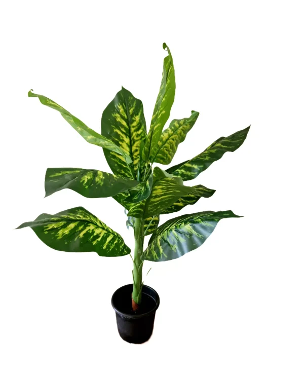 Artificial plants shape12