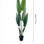 Artificial plants shape11