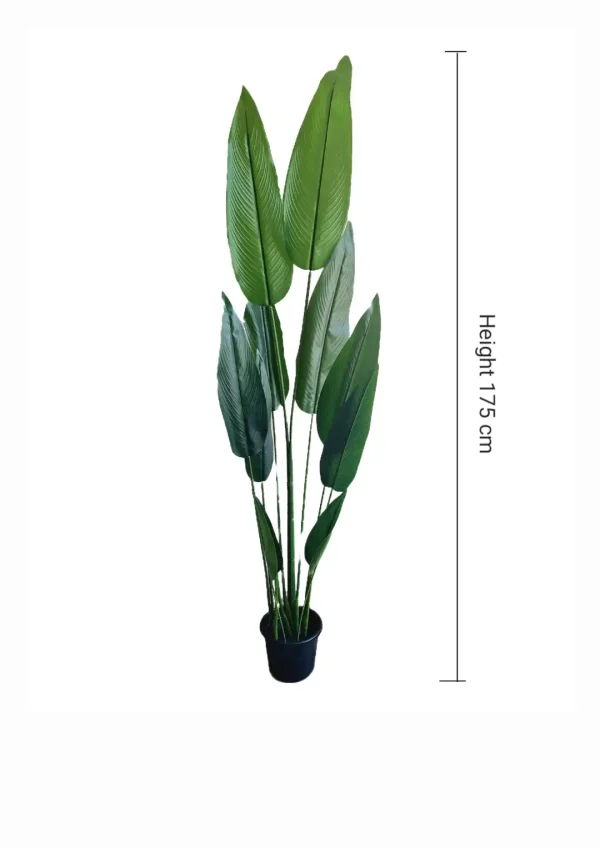 Artificial plants shape11