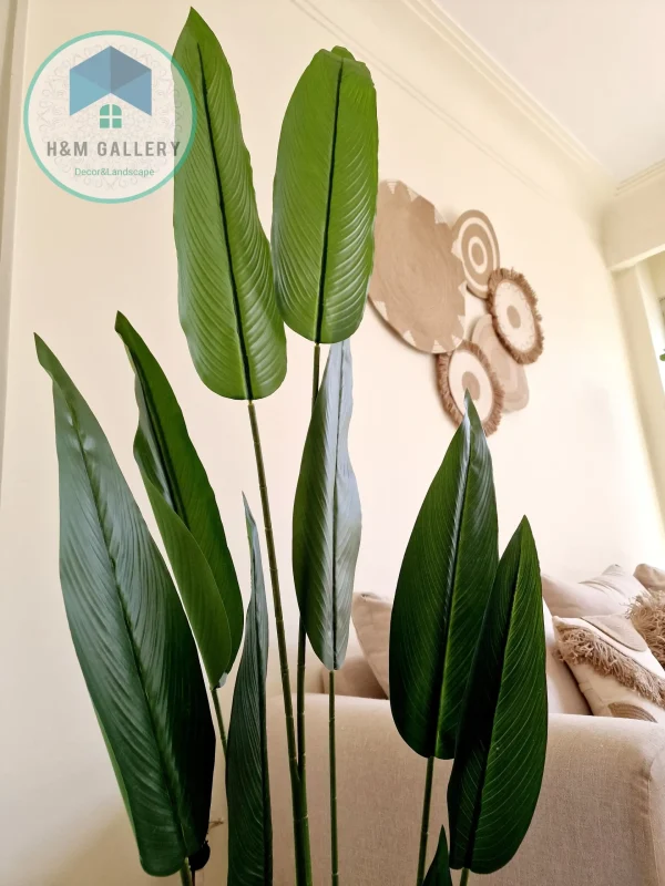 Artificial plants shape11