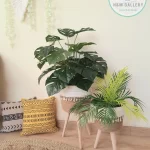 Artificial plants shape1