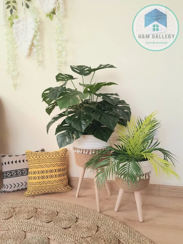 Artificial plants shape1