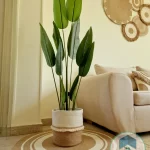 Artificial plants shape11