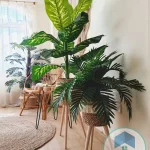 Artificial plants shape12